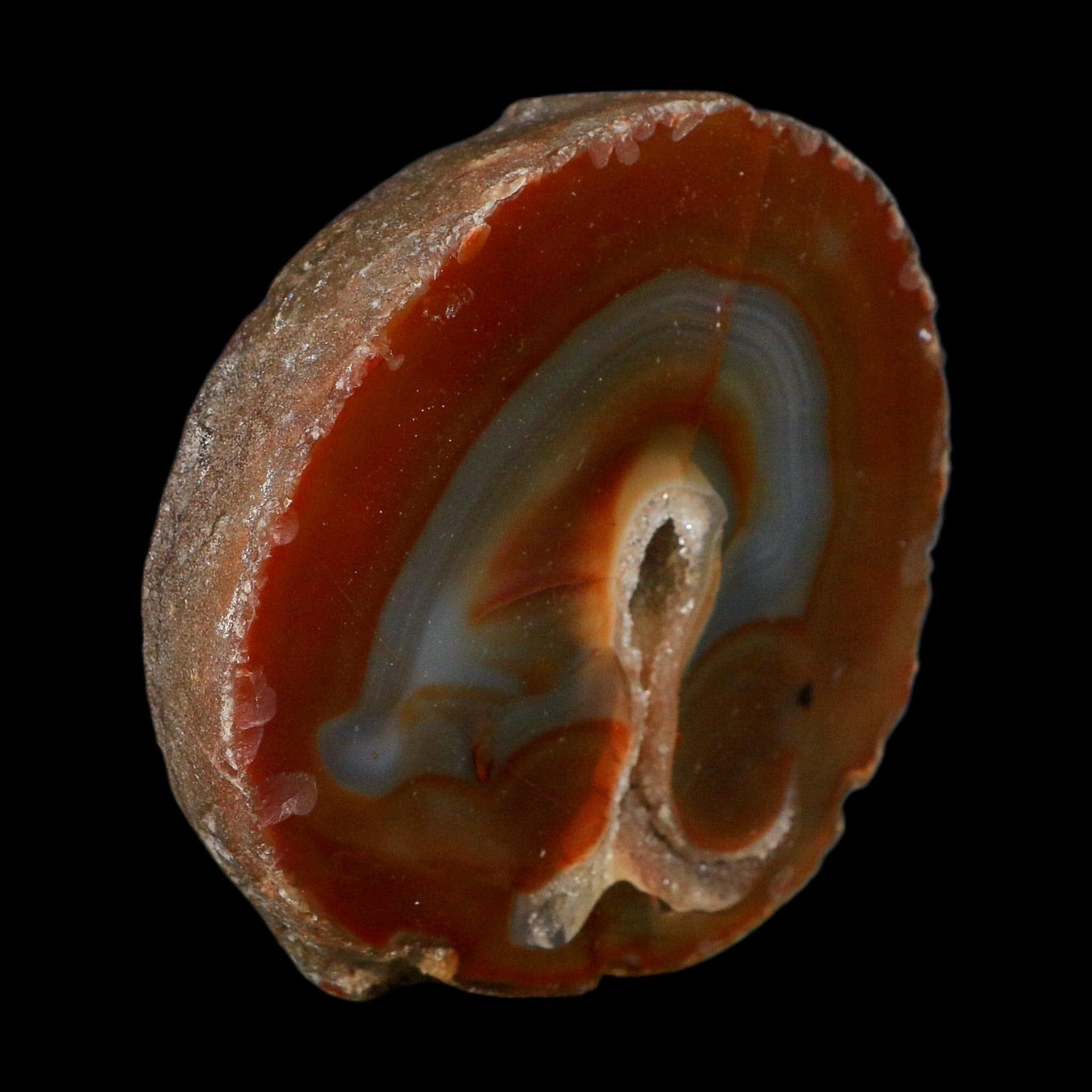 4.2" Polished Cut Agate Geode Crystal Quarts Chalcedony Mineral Specimen