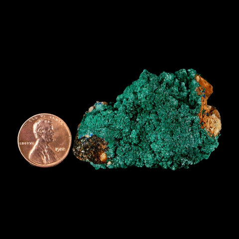 2.1" Dark Green Malachite Crystal Mineral Specimen Tiznit Province Morocco