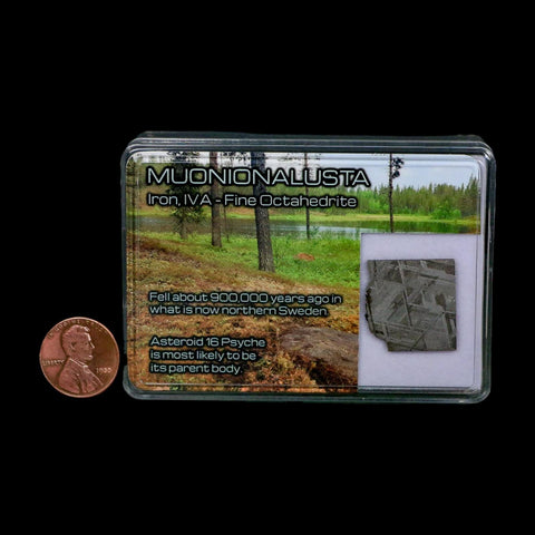 0.8" Muonionalusta Meteorite Specimen Sweden Meteorites Display 4.04 Grams - Fossil Age Minerals