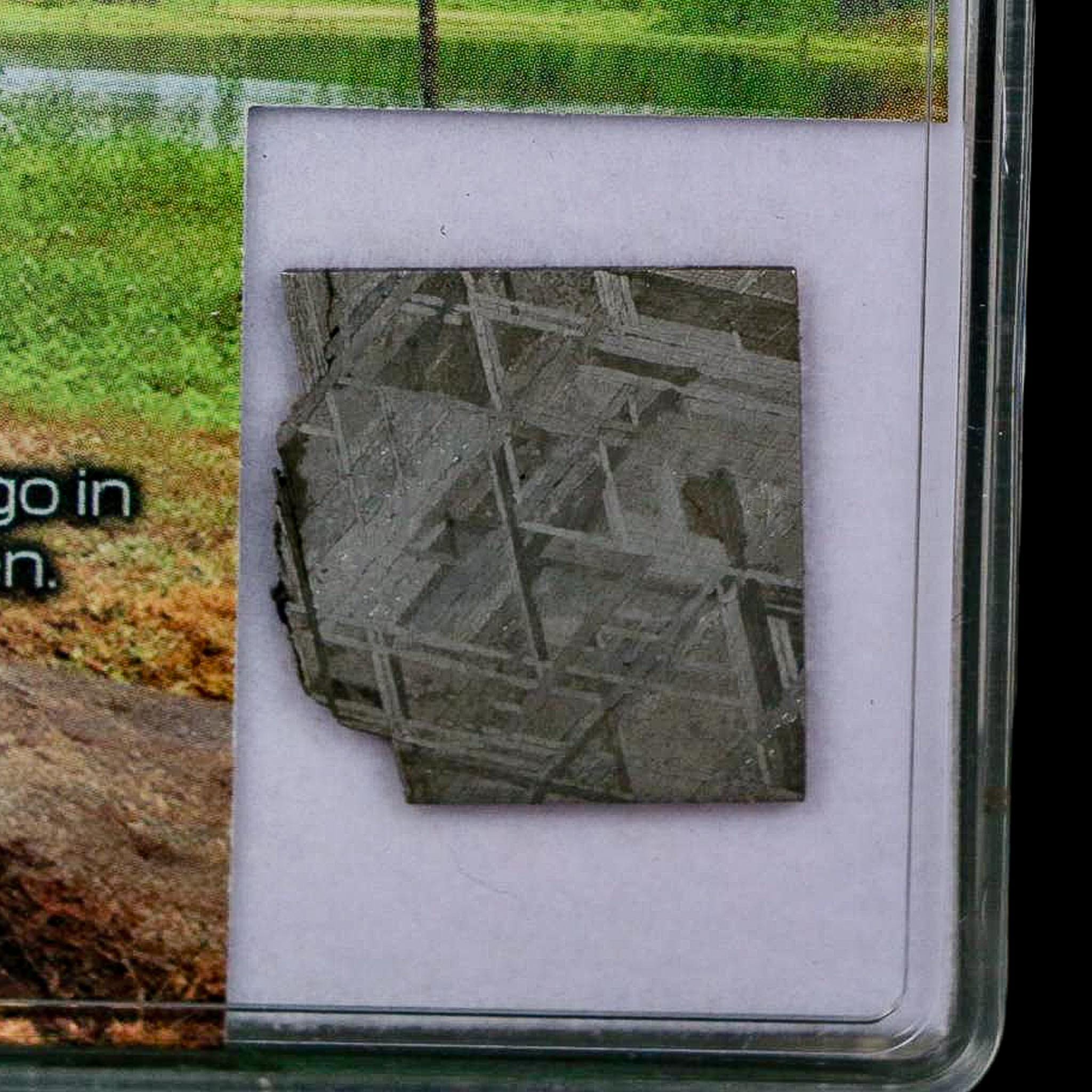 0.8" Muonionalusta Meteorite Specimen Sweden Meteorites Display 4.04 Grams - Fossil Age Minerals