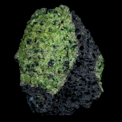 XL 3.6" Natural Emerald Peridot Crystal Minerals On Volcanic Rock Gila, Arizona - Fossil Age Minerals