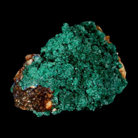 2.1" Dark Green Malachite Crystal Mineral Specimen Tiznit Province Morocco