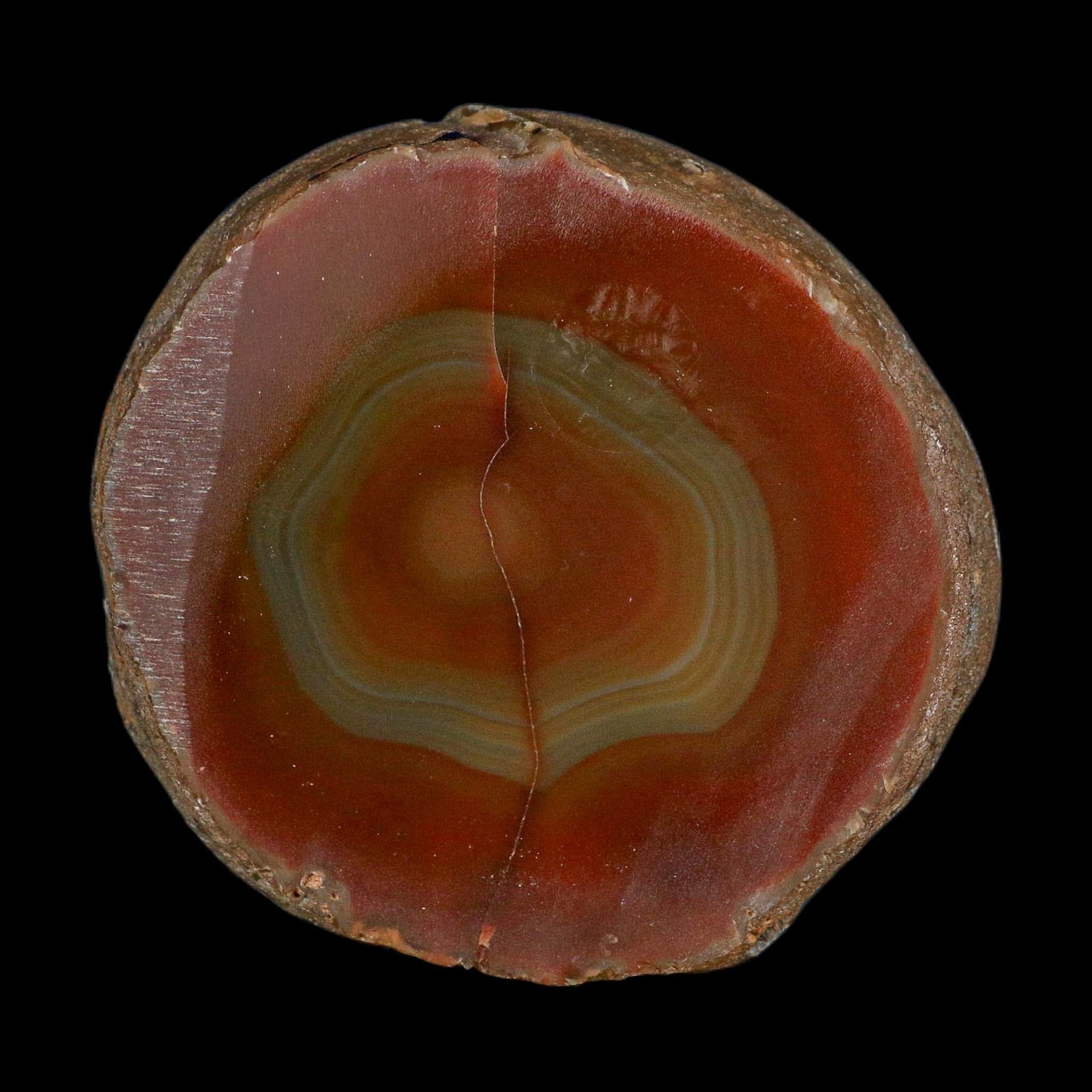 4.2" Polished Cut Agate Geode Crystal Quarts Chalcedony Mineral Specimen