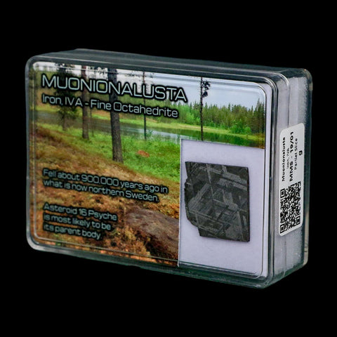 0.8" Muonionalusta Meteorite Specimen Sweden Meteorites Display 4.04 Grams - Fossil Age Minerals