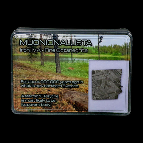 0.8" Muonionalusta Meteorite Specimen Sweden Meteorites Display 3.75 Grams - Fossil Age Minerals