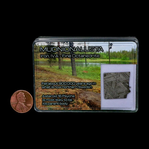 0.8" Muonionalusta Meteorite Specimen Sweden Meteorites Display 3.75 Grams - Fossil Age Minerals