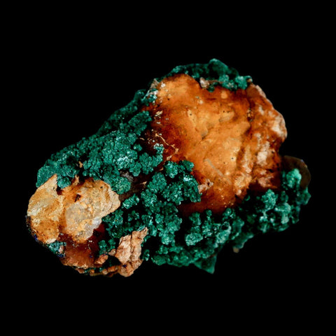 2.1" Dark Green Malachite Crystal Mineral Specimen Tiznit Province Morocco