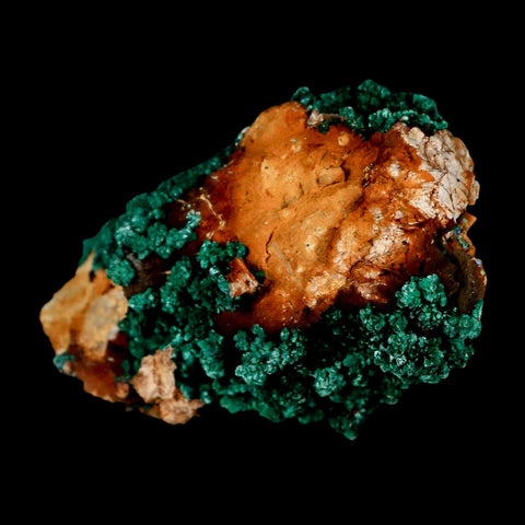 2.1" Dark Green Malachite Crystal Mineral Specimen Tiznit Province Morocco