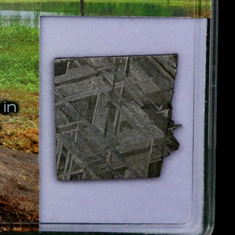 0.8" Muonionalusta Meteorite Specimen Sweden Meteorites Display 3.75 Grams - Fossil Age Minerals