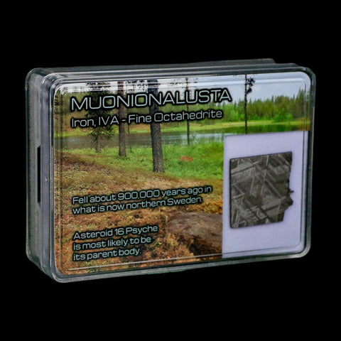 0.8" Muonionalusta Meteorite Specimen Sweden Meteorites Display 3.75 Grams - Fossil Age Minerals