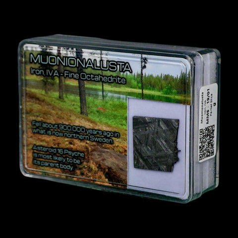 0.8" Muonionalusta Meteorite Specimen Sweden Meteorites Display 3.75 Grams - Fossil Age Minerals