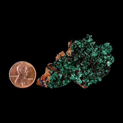 2.3" Dark Green Malachite Crystal Mineral Specimen Tiznit Province Morocco