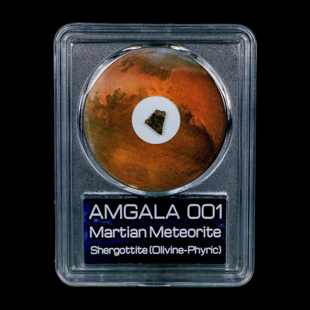 Mars Rock Martian Meteorite Amgala 001 Shergottite Olivine-Phyric COA And Display