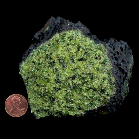 XL 3.5" Natural Emerald Peridot Crystal Minerals On Volcanic Rock Gila, Arizona - Fossil Age Minerals
