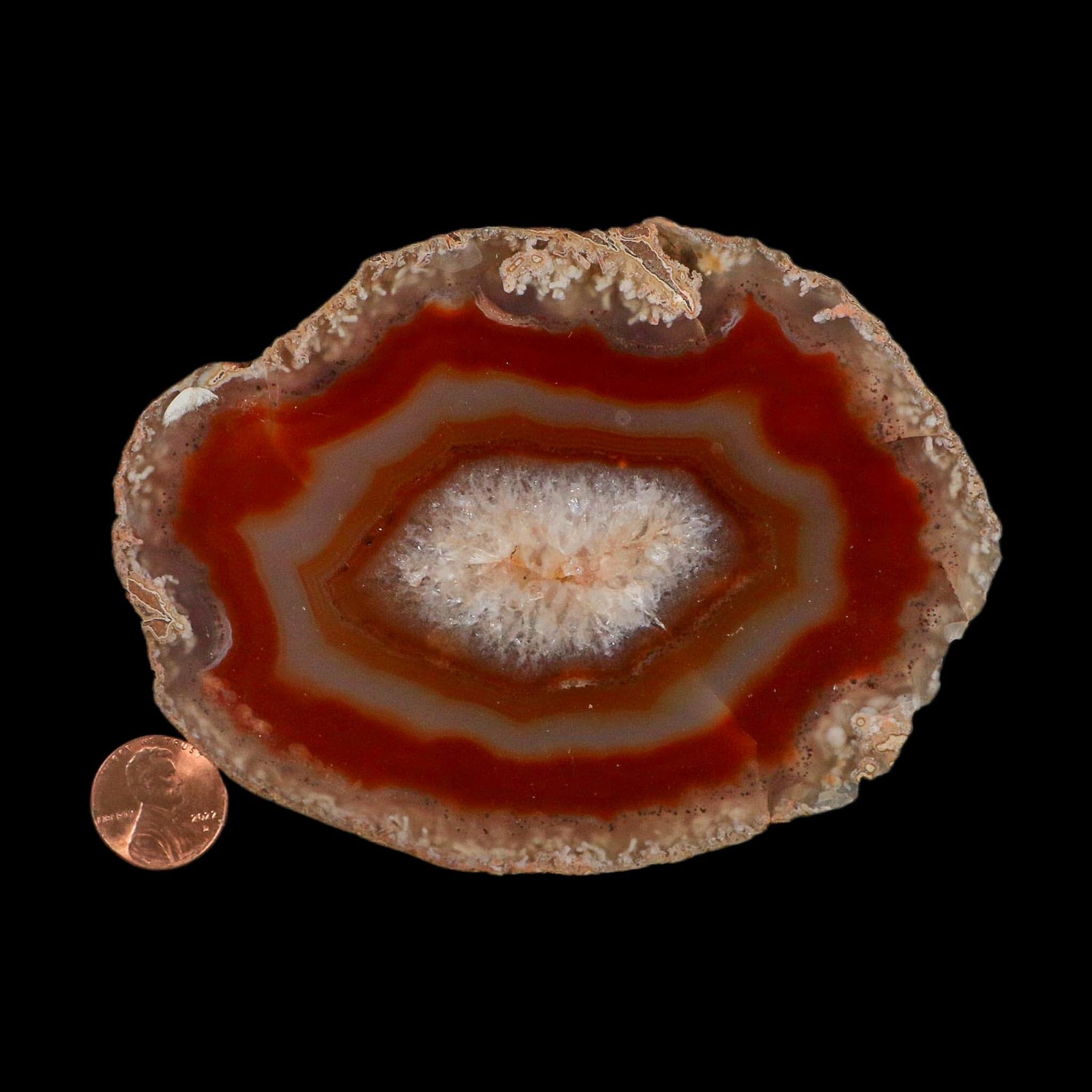 4.7" Polished Cut Agate Geode Crystal Quarts Chalcedony Mineral Specimen