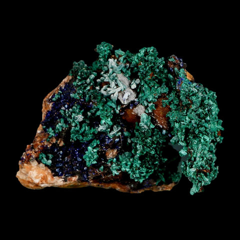 2.5" Dark Green Malachite Crystal Mineral Specimen Tiznit Province Morocco