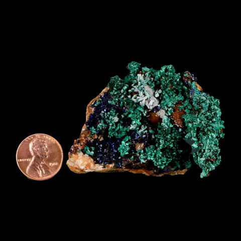 2.5" Dark Green Malachite Crystal Mineral Specimen Tiznit Province Morocco