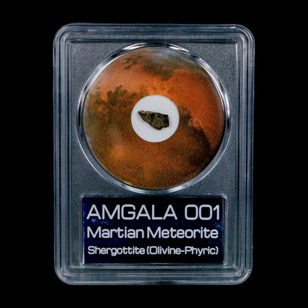 Mars Rock Martian Meteorite Amgala 001 Shergottite Olivine-Phyric COA And Display