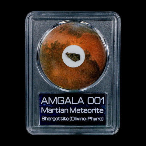 Mars Rock Martian Meteorite Amgala 001 Shergottite Olivine-Phyric COA And Display - Fossil Age Minerals