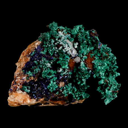 2.5" Dark Green Malachite Crystal Mineral Specimen Tiznit Province Morocco