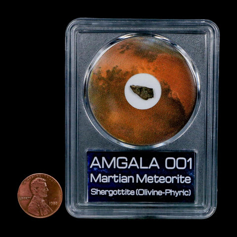 Mars Rock Martian Meteorite Amgala 001 Shergottite Olivine-Phyric COA And Display - Fossil Age Minerals