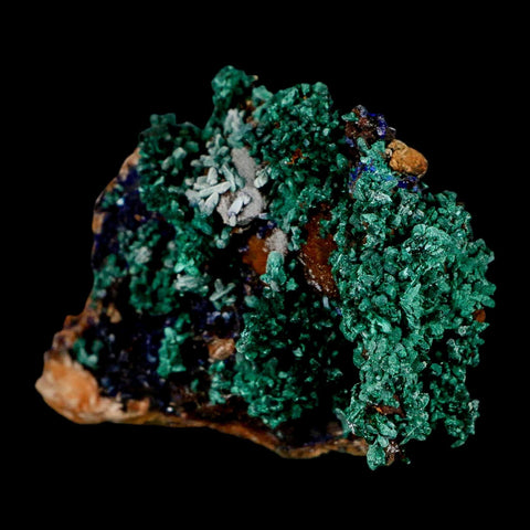 2.5" Dark Green Malachite Crystal Mineral Specimen Tiznit Province Morocco