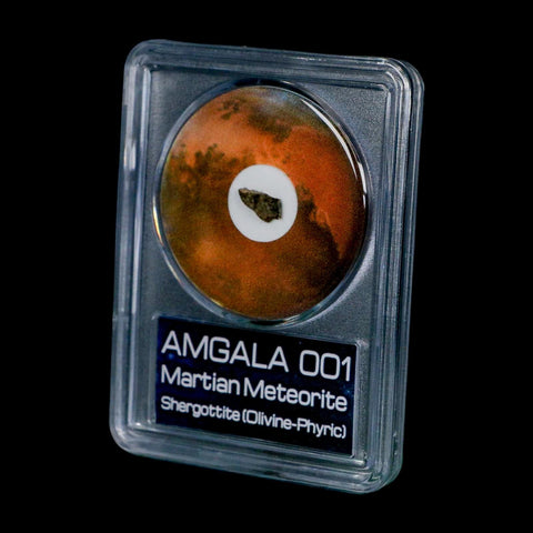 Mars Rock Martian Meteorite Amgala 001 Shergottite Olivine-Phyric COA And Display - Fossil Age Minerals