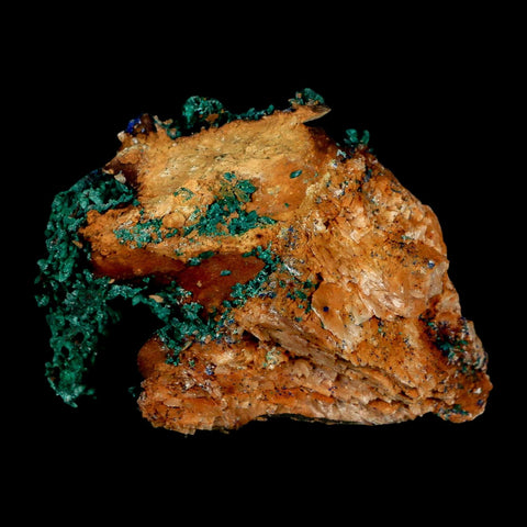 2.5" Dark Green Malachite Crystal Mineral Specimen Tiznit Province Morocco