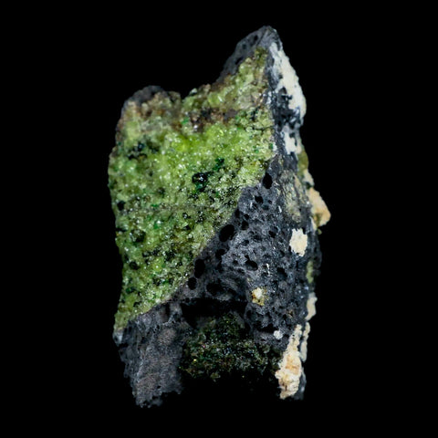 XL 3.2" Natural Emerald Peridot Crystal Minerals On Volcanic Rock Gila, Arizona - Fossil Age Minerals
