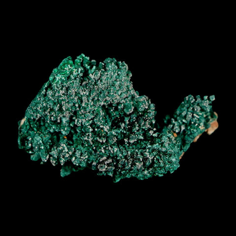 1.6" Dark Green Malachite Crystal Mineral Specimen Tiznit Province Morocco