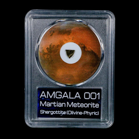Mars Rock Martian Meteorite Amgala 001 Shergottite Olivine-Phyric COA And Display