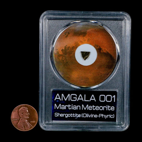 Mars Rock Martian Meteorite Amgala 001 Shergottite Olivine-Phyric COA And Display - Fossil Age Minerals