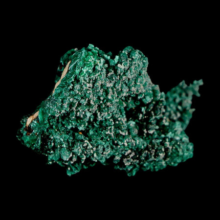 1.6" Dark Green Malachite Crystal Mineral Specimen Tiznit Province Morocco