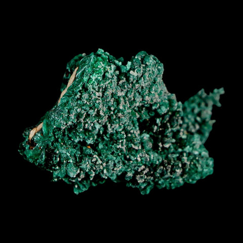 1.6" Dark Green Malachite Crystal Mineral Specimen Tiznit Province Morocco