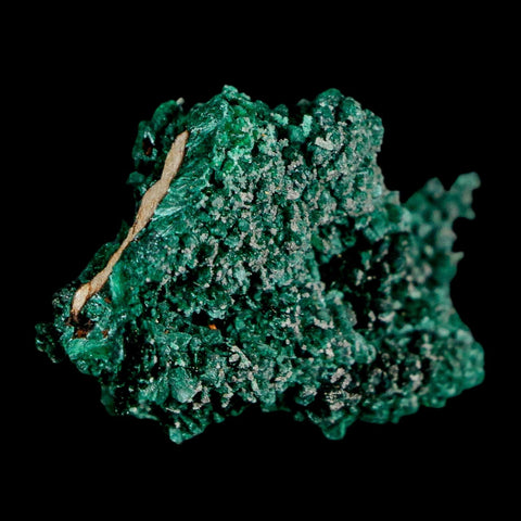 1.6" Dark Green Malachite Crystal Mineral Specimen Tiznit Province Morocco