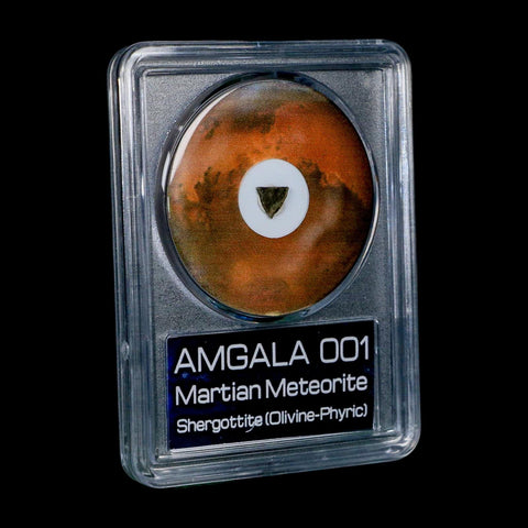 Mars Rock Martian Meteorite Amgala 001 Shergottite Olivine-Phyric COA And Display - Fossil Age Minerals