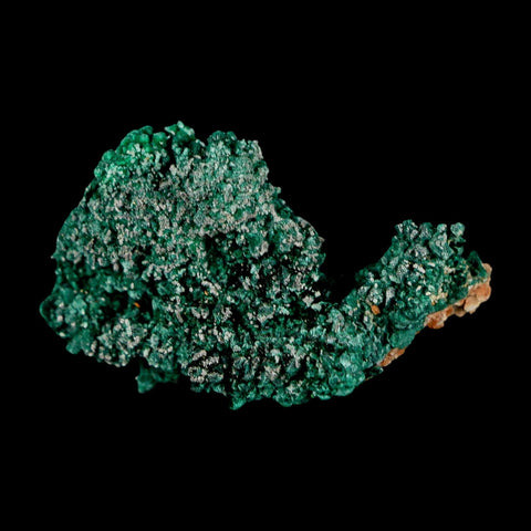 1.6" Dark Green Malachite Crystal Mineral Specimen Tiznit Province Morocco