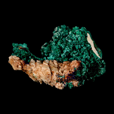 1.6" Dark Green Malachite Crystal Mineral Specimen Tiznit Province Morocco