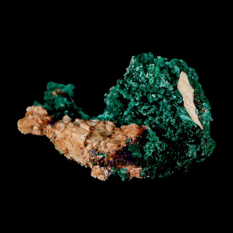 1.6" Dark Green Malachite Crystal Mineral Specimen Tiznit Province Morocco