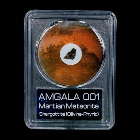 Mars Rock Martian Meteorite Amgala 001 Shergottite Olivine-Phyric COA And Display