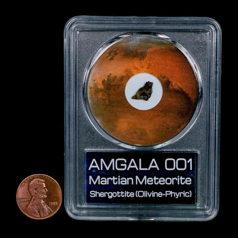 Mars Rock Martian Meteorite Amgala 001 Shergottite Olivine-Phyric COA And Display - Fossil Age Minerals
