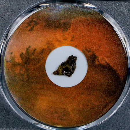 Mars Rock Martian Meteorite Amgala 001 Shergottite Olivine-Phyric COA And Display