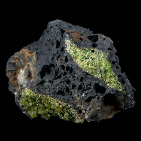 XL 4.2" Natural Emerald Peridot Crystal Minerals On Volcanic Rock Gila, Arizona - Fossil Age Minerals