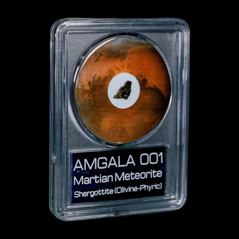 Mars Rock Martian Meteorite Amgala 001 Shergottite Olivine-Phyric COA And Display - Fossil Age Minerals