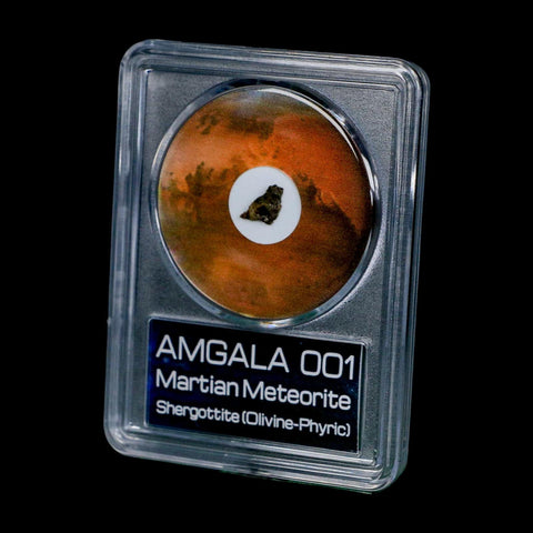 Mars Rock Martian Meteorite Amgala 001 Shergottite Olivine-Phyric COA And Display - Fossil Age Minerals