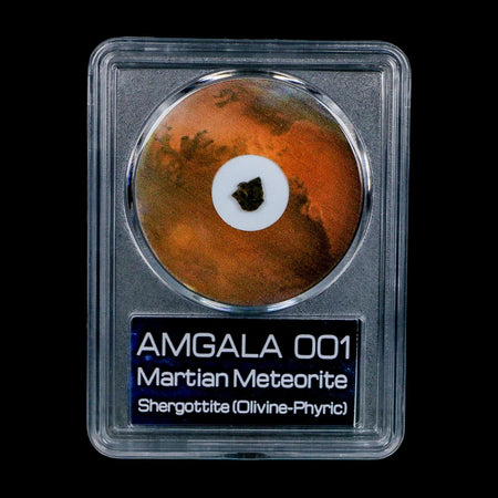 Mars Rock Martian Meteorite Amgala 001 Shergottite Olivine-Phyric COA And Display
