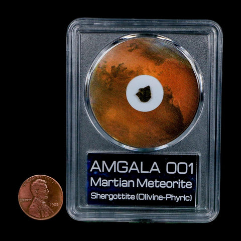 Mars Rock Martian Meteorite Amgala 001 Shergottite Olivine-Phyric COA And Display - Fossil Age Minerals