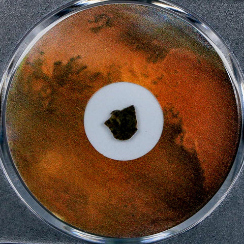 Mars Rock Martian Meteorite Amgala 001 Shergottite Olivine-Phyric COA And Display - Fossil Age Minerals