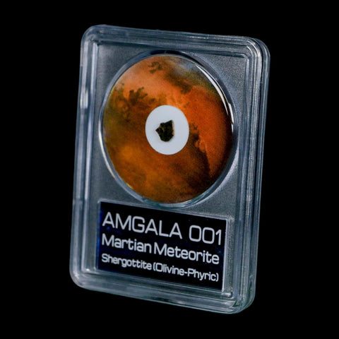 Mars Rock Martian Meteorite Amgala 001 Shergottite Olivine-Phyric COA And Display - Fossil Age Minerals