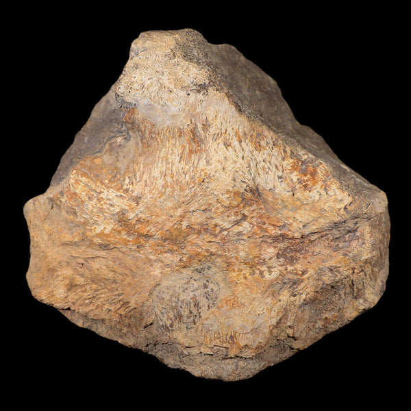 5.2